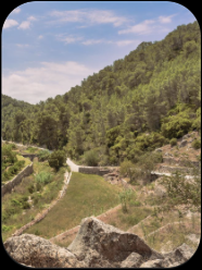 Water management and agriculture in al-Andalus